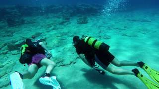 Scuba diving - Protaras