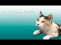A Talking Cat!?! sequel trailer