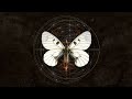 A life divided - Per