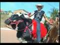 CAVALGADA EXPOALTA 2008