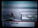 Rival Battle LU1