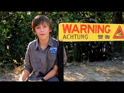 YouTube reptile video