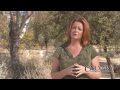 Calvary Addiction Recovery Center Informative Video