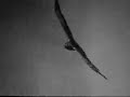 Persian Music : Hossain Zaman - Parandeh Persian Music : Hossain Zaman - Parandeh