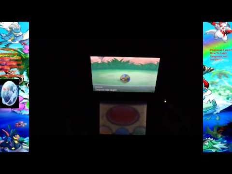 how to catch zangoose in pokemon y