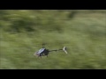 Kyosho EP Caliber 450 V Kyosho EP Caliber 450 V