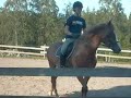 ridledarna rider_0001.wmv ridledarna rider_0001.wmv