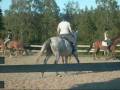 videos de ridledarna rider_0001.wmv