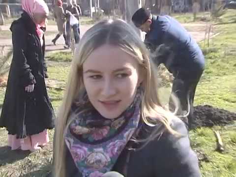 Просмотр видео