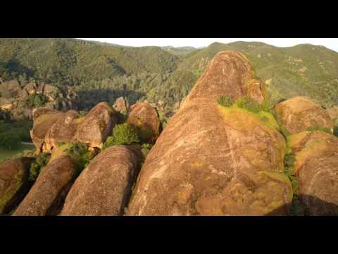 Lzl-OifCRgE