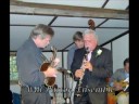 Tommy Steele Musician