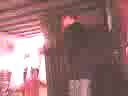 videos de de witte en darwin