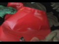 Raptor vs. Ceratosaurus from DAM part 2