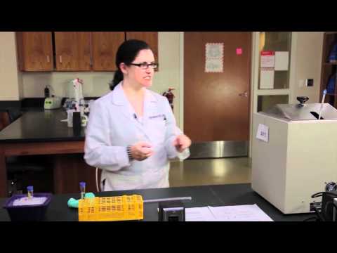 how to isolate dna from cheek cells