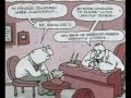 videos de GÜL ULEYNNN