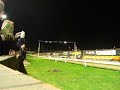greyhound racing 2 greyhound racing 2