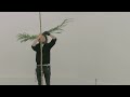 How to build your own Christmas Tree