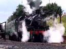 Watercress Line-22