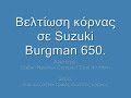 Stebel Nautilus Compact on Suzuki Burgman 650