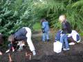 videos de kids at work keeping things clean.avi