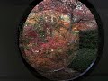 Kyoto, Japan - 京都の紅葉