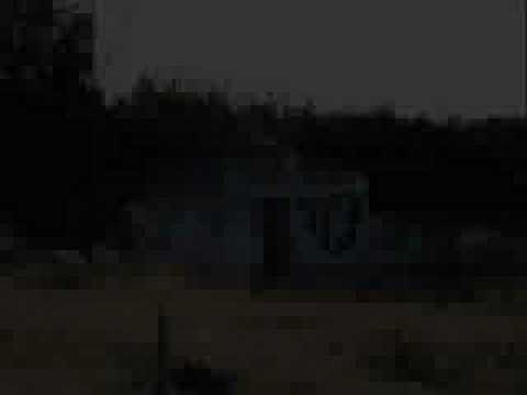HAUNTED HOME