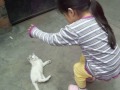 la mini y la manina(andreita garcia )