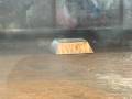 videos de Hexy Jr. vs. The Big B - RG06