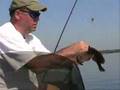 St. Johns River / Lake George - Florida Fishing