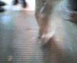 Alkatrazz C-Walk