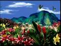 Living Butterflies