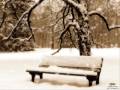Meditation From Thais-YoYoMa
