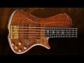 Exotic RG - 5string - Bartolini and Aguilar electronic - Bass Demonstration