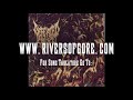 Defeated Sanity - Butchered Identity Guitar Cover