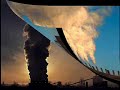 Consciência Ecológica - Ecologia