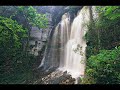 Consciência Ecológica - Ecologia