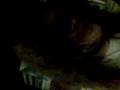 videos de Raybesto... Deluxe performance