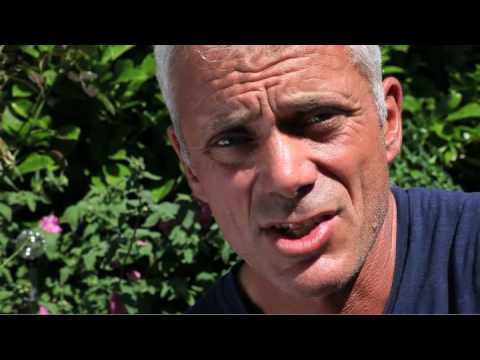 Jeremy Wade Comments on Gulf Oil Spill