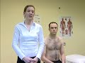 Physical Therapy Series -  Muscolskeletal System