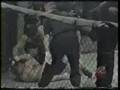 Tony de Souza vs Chatt Lavender