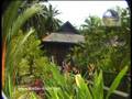 Sepilok Nature Resort Introduction