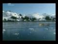 Clovis Points (Solutreans France) Pt4