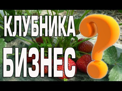 YouTube Трейлер