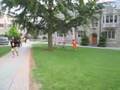 Tigger in Princeton