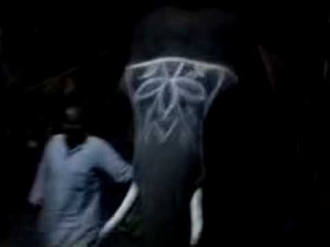 See video