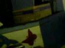 The Calling - Santos/SP - [AUTOGRAFOS] 06
