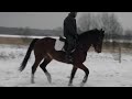 video preview image