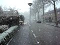 Django in de sneeuw