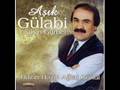 Asik Gulabi   Omur denen zalim yolda  Dalgin 