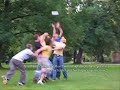 The Swedish Collection